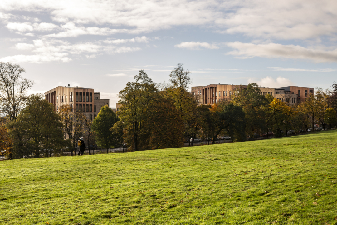 The Victoria Keith Hunter 15