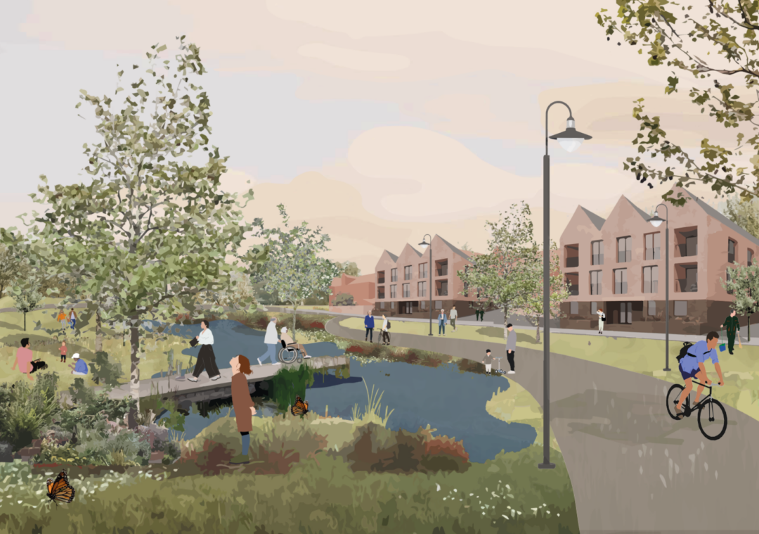 Neighbourhood wetland copyright Collective Architecture