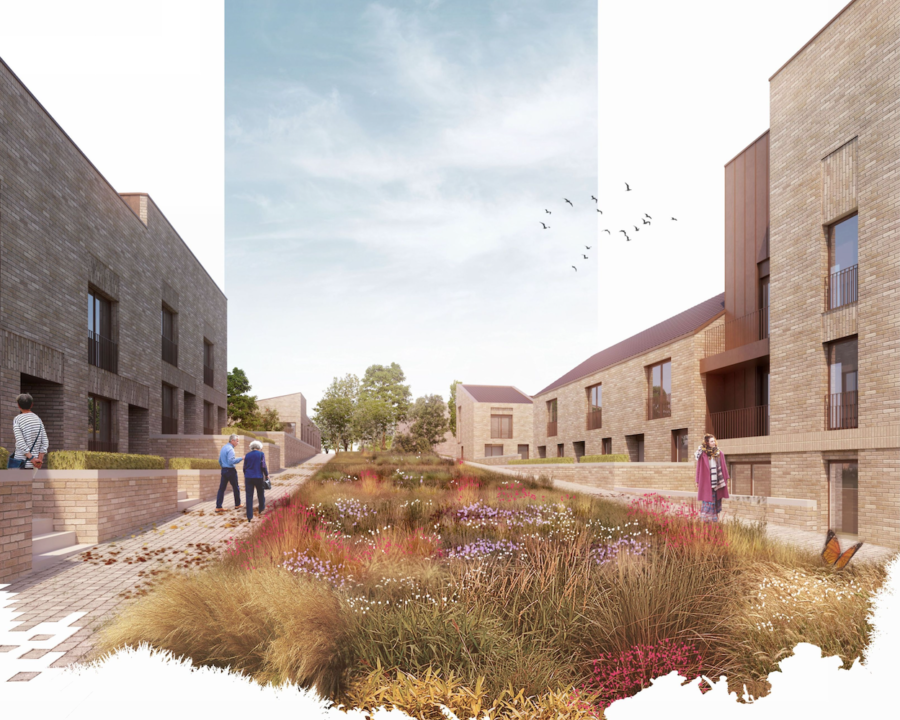 Hamiltonhill Cropped