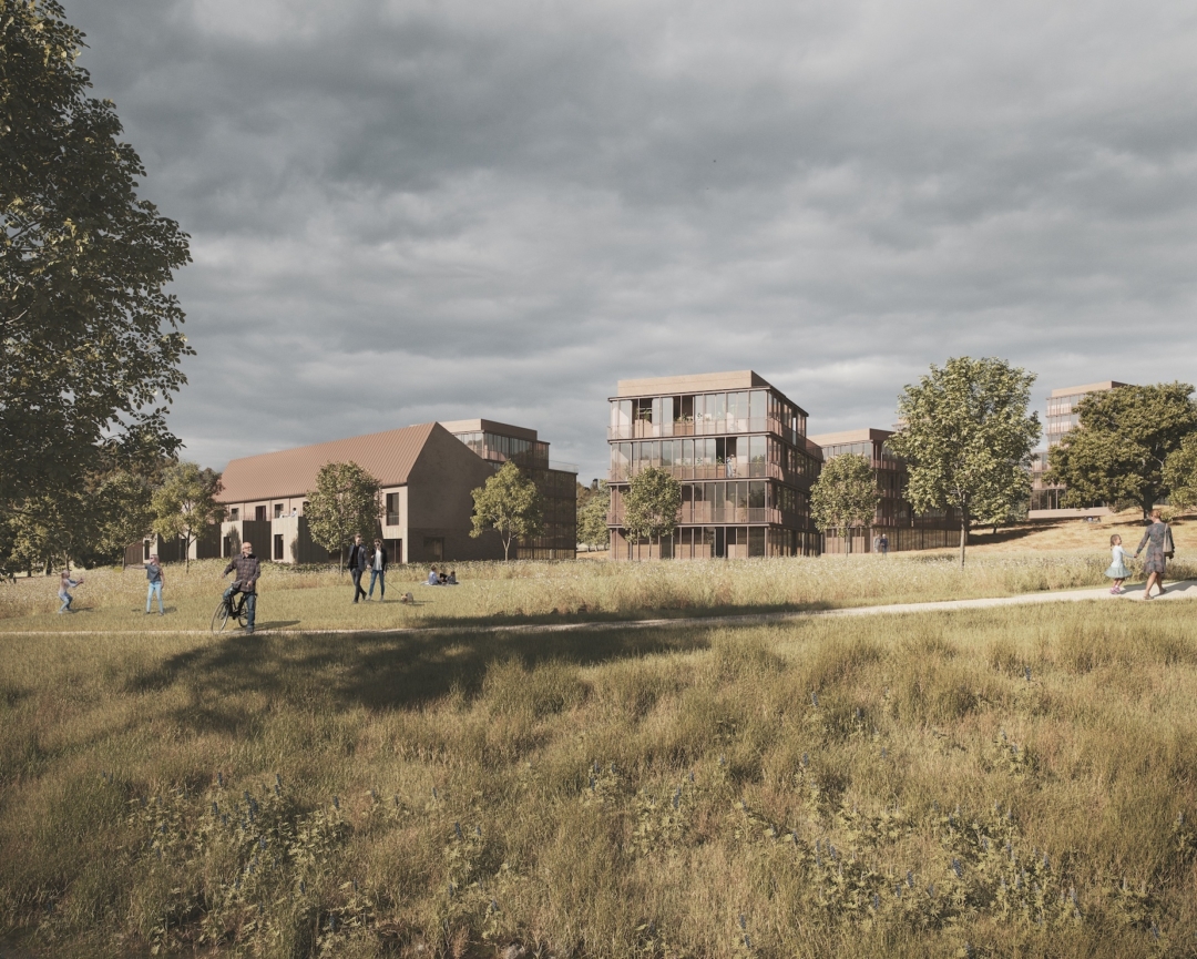 LADYFIELD RENDER 02 copy