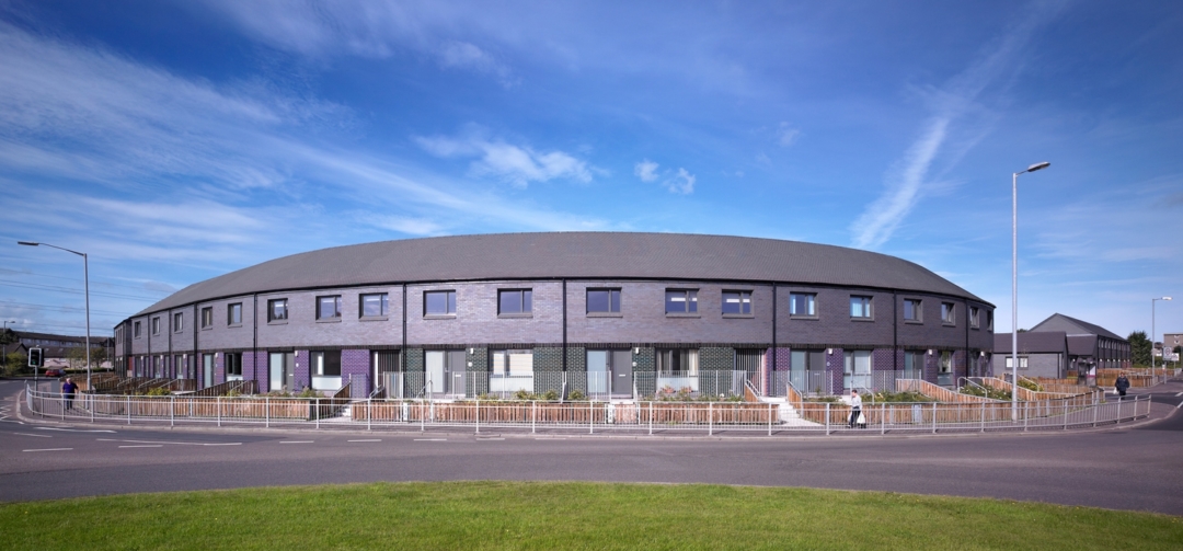 Linwood Regeneration 1