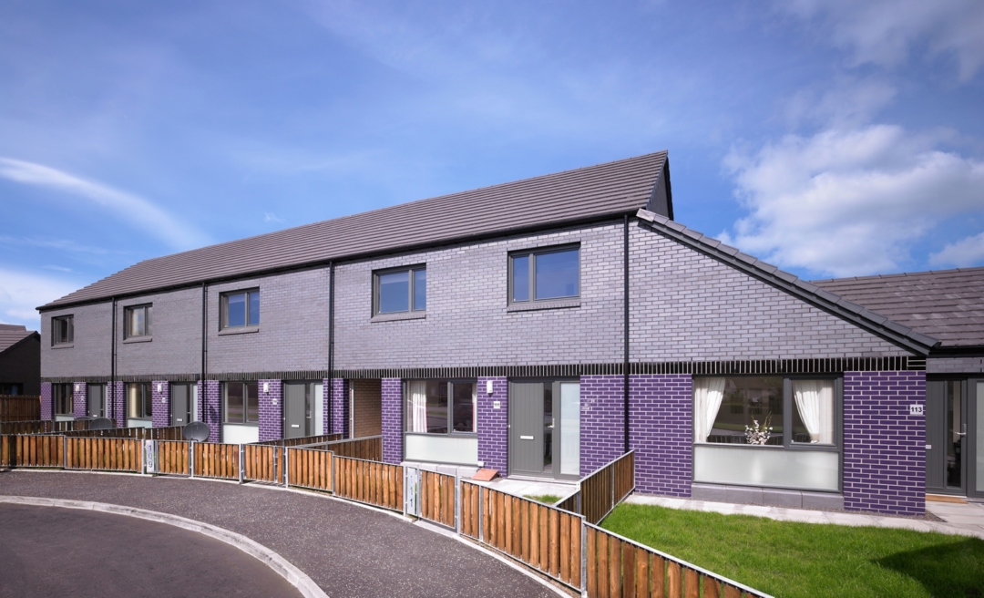 Linwood Regeneration 3