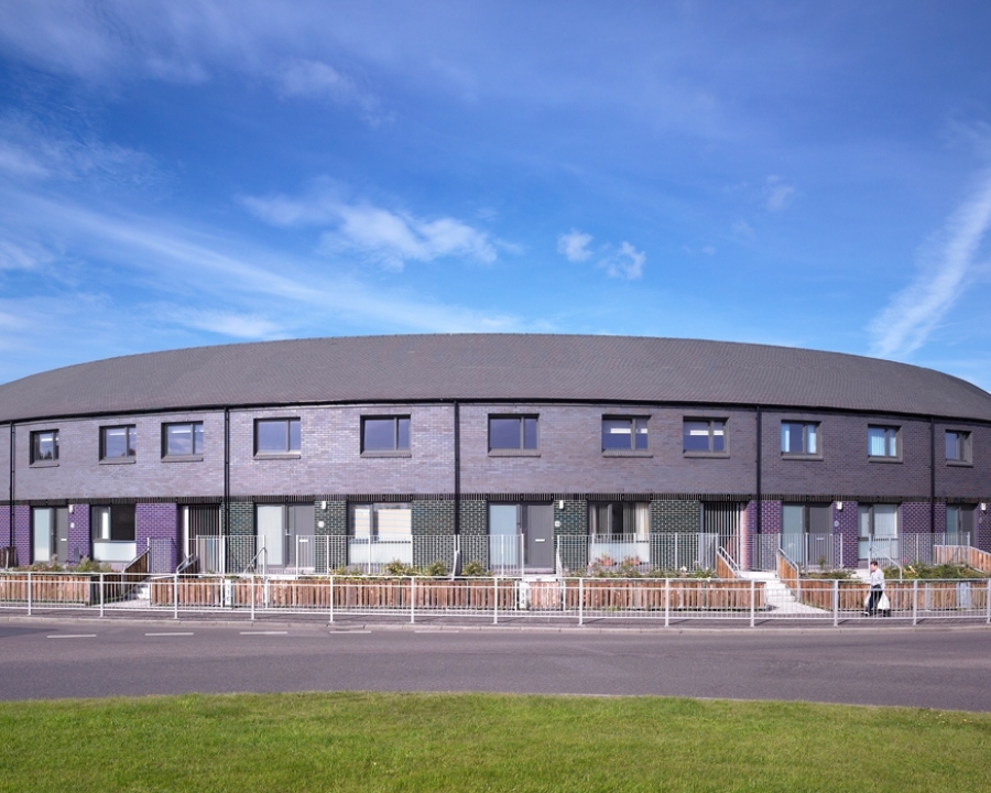 Linwood Regeneration 1