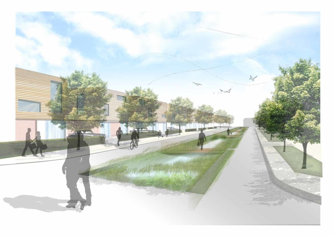 Case Study 1 Swale Montage