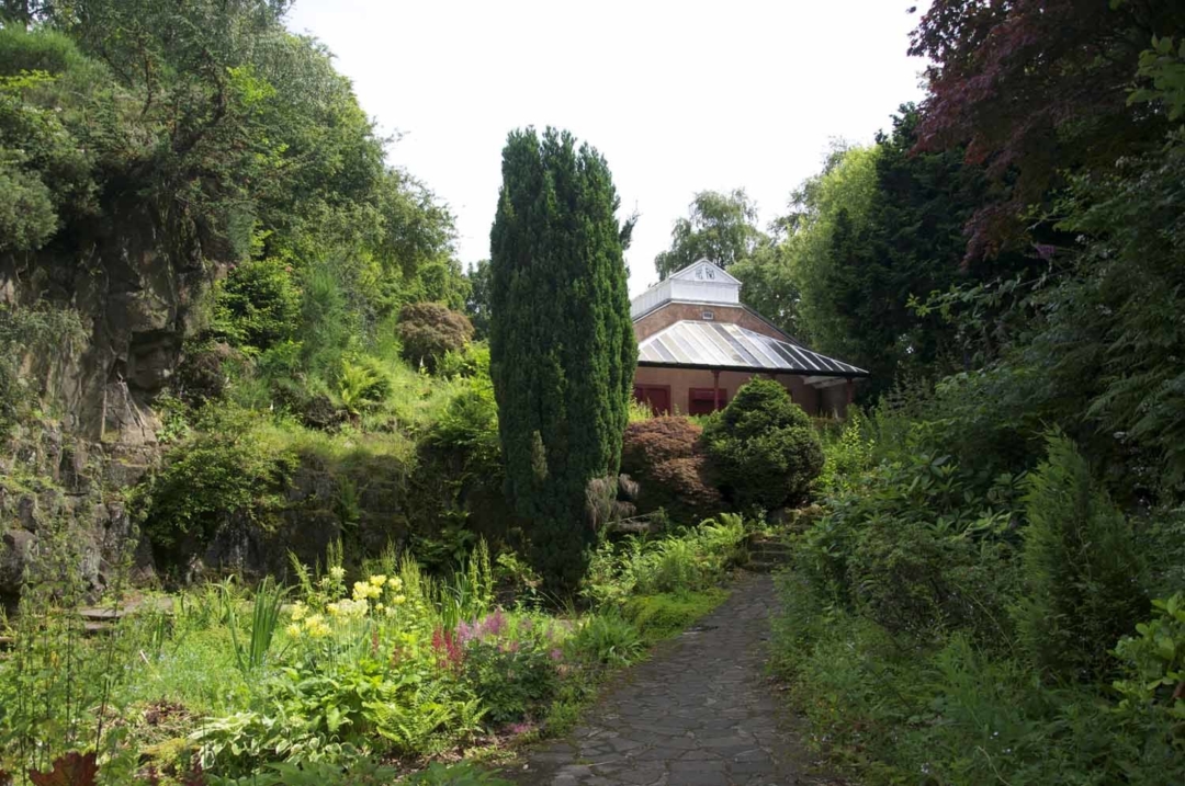 Dsc 0064