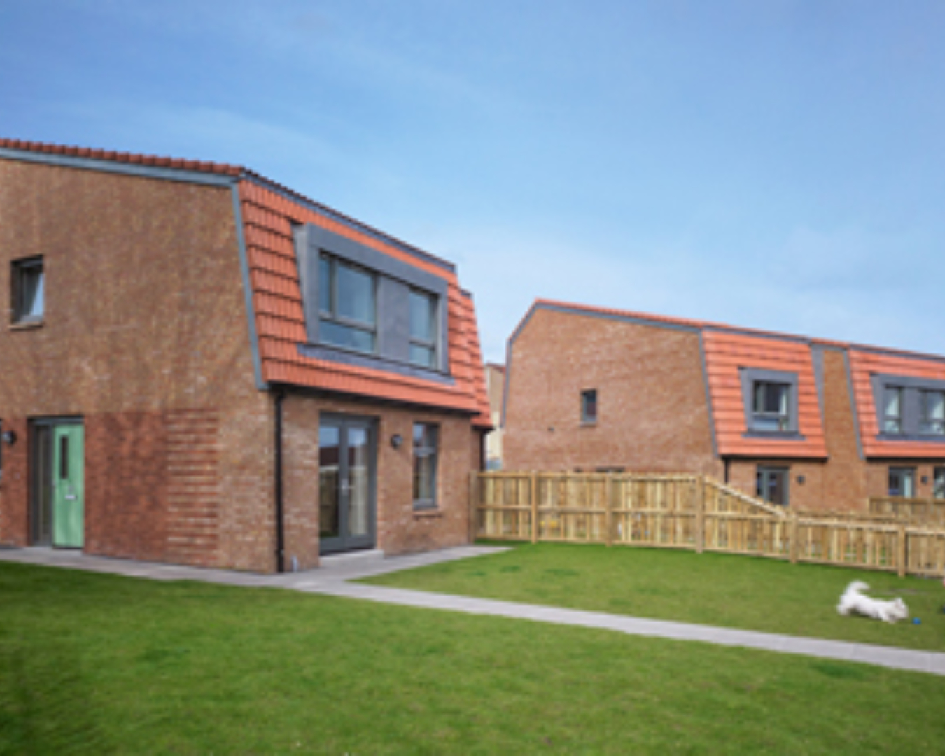 Housing Collective Architecture