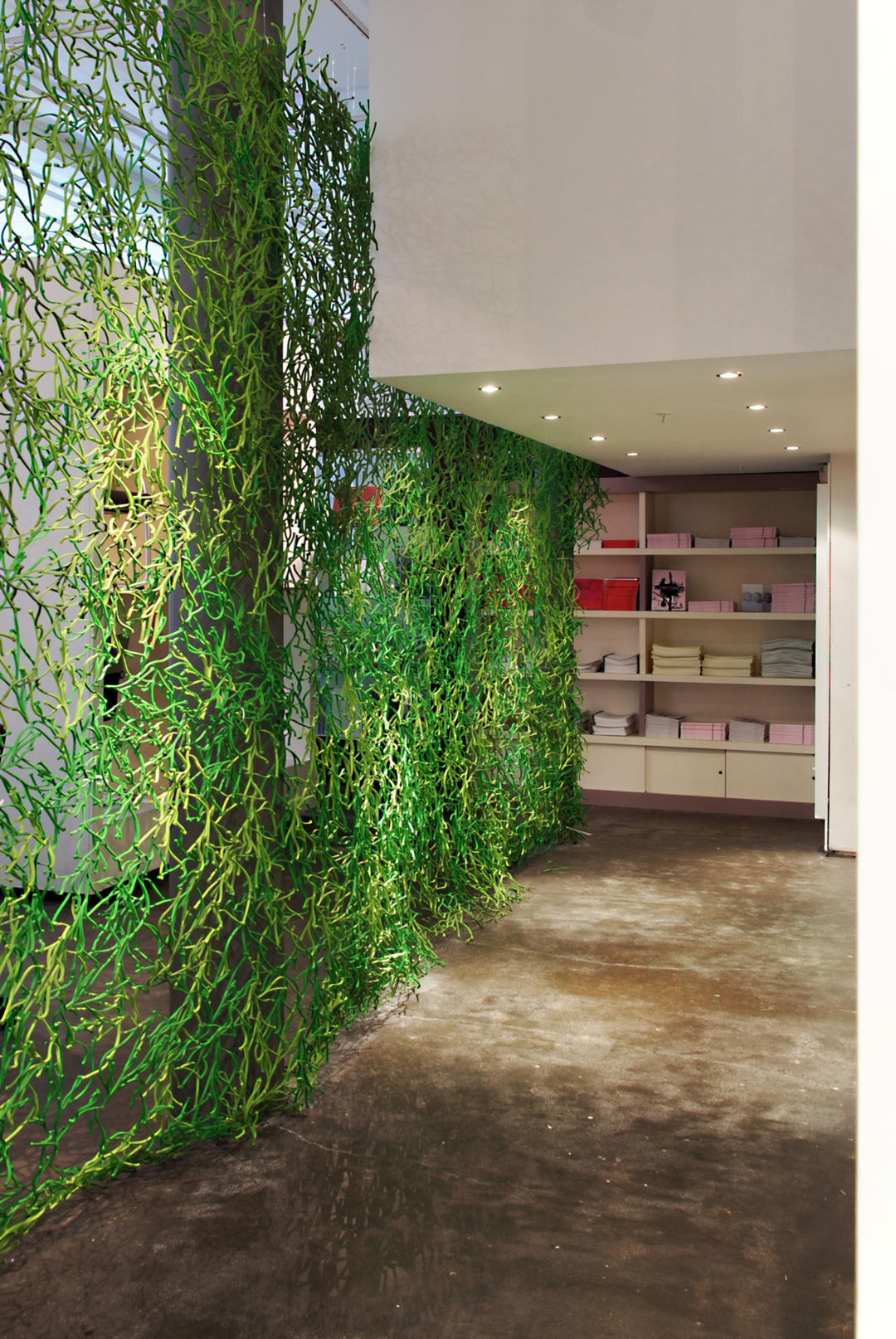 The Lighthouse Foyer Refurbishment | Collective Architecture