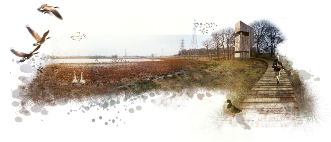 05 G Pool Vision Copy